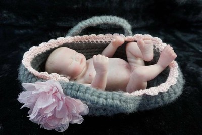 reborn moses basket